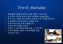 [KANUDA] 기능성 물리치료 베개의 블루오션을 개척한 가누다(Kanuda) 브랜드 발표.ppt 7페이지