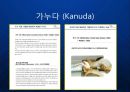 [KANUDA] 기능성 물리치료 베개의 블루오션을 개척한 가누다(Kanuda) 브랜드 발표.ppt 8페이지