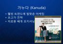 [KANUDA] 기능성 물리치료 베개의 블루오션을 개척한 가누다(Kanuda) 브랜드 발표.ppt 13페이지