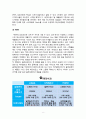 스타오(SPAO)의 성공요인과 문제점 및 향후 발전방안 8페이지