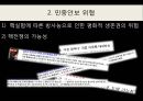 한국정치_북핵문제,IAEA의 안전조치협정,북핵위기,한반도 평화통일 19페이지