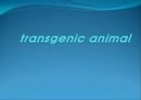 [발생공학] 형질전환 동물 transgenic animal.PPT자료 1페이지