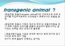 [발생공학] 형질전환 동물 transgenic animal.PPT자료 3페이지