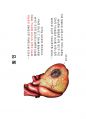 (스포츠의학, 운동처방관련학과) 허혈성 심장질환과 운동 - 협심증 & 심근경색.pdf 16페이지