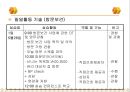 [지역사회간호학][보건소사업][정신보건사업][결핵관리사업][영유아예방접종][건강증진]문헌고찰 3페이지