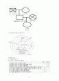 [지역사회간호학][가족간호사정][가족간호진단][가족간호]방문보건 가족사정 2페이지