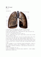 [폐 해부생리][폐 구조기능 정리]호흡기계 생리,문헌고찰 1페이지