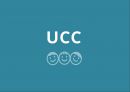 UCC,UCC장단점,UCC기업활용,UCC향후전망 1페이지
