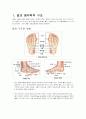 발의 구조 1페이지