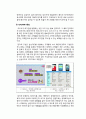 삼성카드 기업전략분석과 삼성카드 SWOT분석과 삼성카드 경쟁사(현대카드)분석과 삼성카드 위기극복위한 마케팅전략 제안 23페이지