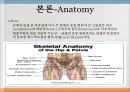 THRA PPT Anatomy 와 관련질환 수술방법  5페이지