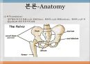 THRA PPT Anatomy 와 관련질환 수술방법  6페이지