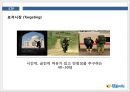 참좋은여행사 - swot, stp, 마케팅믹스, 비교분석 21페이지