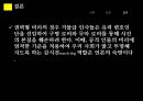 박연차 게이트와 한국의 돈 정치 문화  23페이지