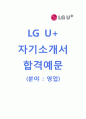 [LG유플러스-영업직 합격 자기소개서] LG유플러스 자소서+면접기출문제_LG유플러스공채자기소개서_LG유플러스채용자소서_LG U+자기소개서_LG U+자소서 1페이지
