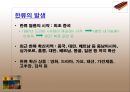 한류(韓流) 열풍 분석 - 한국의 한류 전망과 대책.pptx 2페이지