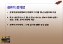 한류(韓流) 열풍 분석 - 한국의 한류 전망과 대책.pptx 9페이지
