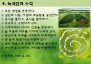 [녹색연합 분석] 녹색연합의 주요활동, 녹색연합 조직, 녹색연합 특징, 9페이지