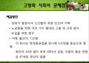 고령화 사회 - 고령화 사회의 특성과 고령화 사회의 원인, 고령화사회 문제점 PPT자료 13페이지