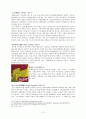 팝아트, 미술의 위기인가, 새로운 흐름인가  13페이지