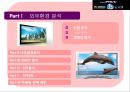 삼성 3D LED TV에 대한 마케팅 전략  4페이지