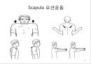 회선근개 재활 운동 (어깨 수술의 이해 Shoulder operation, 어깨 재활 운동 0~2주 재활운동, ROM Exercise, 스트레칭 Stretching, Simple EX 10분).PPT자료 20페이지