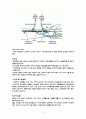 ESRD CASE STUDY 8페이지