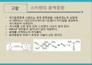 최종본 46페이지