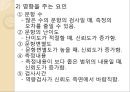 신뢰도 (정의, 개념, 종류, 타당도) 19페이지