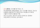 한국 교육과정의변천 근대이전(원시사회교육제도) 17페이지