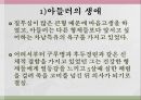 [인간행동과사회환경, 인행사] 알프레드 아들러(Alfred Adler)의 생애와 개인심리학 이론.PPT자료 3페이지