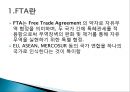 한국의 FTA에 대한 대응 전략 3페이지