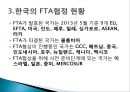 한국의 FTA에 대한 대응 전략 5페이지