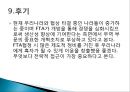 한국의 FTA에 대한 대응 전략 12페이지
