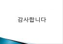 한국의 FTA에 대한 대응 전략 13페이지