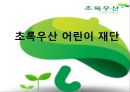 [NGO 시민단체 분석 - 초록우산 어린이 재단] 개념, 역할과 기능, NGO(시민단체) 장초록우산 어린이 재단 주요사업, 재단 업무, 결론 등등 1페이지
