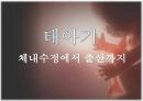 [태내기] 태내 환경 및 태내기 진단(유전상담, 초음파, 융모, 양수검사등), 태내기 교육(전통, 현대적), 태내기에 대한 견해.PPT자료 3페이지