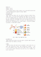 일반생물학 실험 - 혈액형분석 및 ABO혈액형 혈구세포 관찰 (동국대 생명 A+보고서) 1페이지