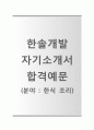 (한솔개발자기소개서 + 면접기출문제) 한솔개발(한식조리) 자기소개서 합격예문 [한솔개발자소서지원동기첨삭항목] 1페이지