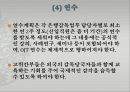 [거시금융정책] 금융감독기능 강화 (은행감독방법, 효과적인 감독체제) 금융감독체계의 개편, 리스크관리, 정리 및 최근 현황.PPT자료 20페이지