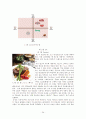 빕스 기업분석, 빕스 경영전략사례, 외식산업 프랜차이즈, 패밀리레스토랑 산업, 디바이드 전략, 브랜드마케팅, 서비스마케팅, 글로벌경영, 사례분석, swot, stp, 4p 24페이지