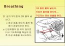 응급처치, Emergency care 파워포인트 PPT 프레젠테이션 - BLS sequence 12페이지