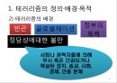 테러리즘의 발생과 대응 (테러리즘의 정의·배경·목적, 전략과 자금조달, 종류와 사례, 비용, 대응과 그에 따른 민주주의 보호).PPT자료 8페이지