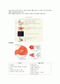 [성인간호학실습] stomach cancer(위암) case study (케이스 스터디) 4페이지