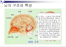 [★★추천PPT★★]아동미술교육] 아동미술교육(어린이미술교육)의 의의와 필요성, 아동미술교육(어린이미술교육)의 관련활동, 아동미술교육(어린이미술교육) 정신분석학적 관점과 심리학, 아동미술교육(어린이미술교 8페이지