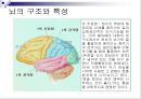 [★★추천PPT★★]아동미술교육] 아동미술교육(어린이미술교육)의 의의와 필요성, 아동미술교육(어린이미술교육)의 관련활동, 아동미술교육(어린이미술교육) 정신분석학적 관점과 심리학, 아동미술교육(어린이미술교 18페이지