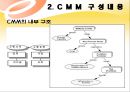 CMM에 대한 이해와 구성내용, 국내도입 사례 분석 및 도입효과 분석.PPT자료 11페이지
