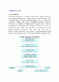 [마케팅믹스전략] 국제마케팅 믹스(4P) 전략, 국제제품전략, 국제가격전략, 국제유통전략, 국제광고 및 판매촉진전략 3페이지