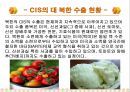 [북한의이해] 북한의 식생활에 대한 모든 것 - 북한의 음식문화 (북한 식생활의 발자취, 지역별 음식, 남북한 식생활 비교, 식량지원, 고위층 식생활 비교, 외식문화, 명절음식, 다이어트, 간식, 북한사회).PPT자료 85페이지