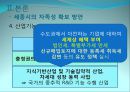 [세종시의 방향제언] 국토균형개발 달성을 위한 세종시의 나아갈 방향 제언 25페이지